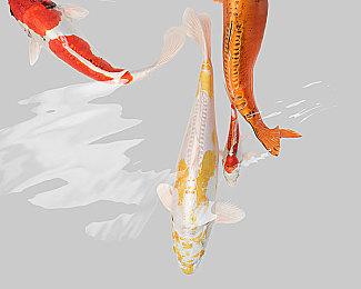 《使命召唤：先锋》僵尸模式将改变技能设计 发售时无剧情主线